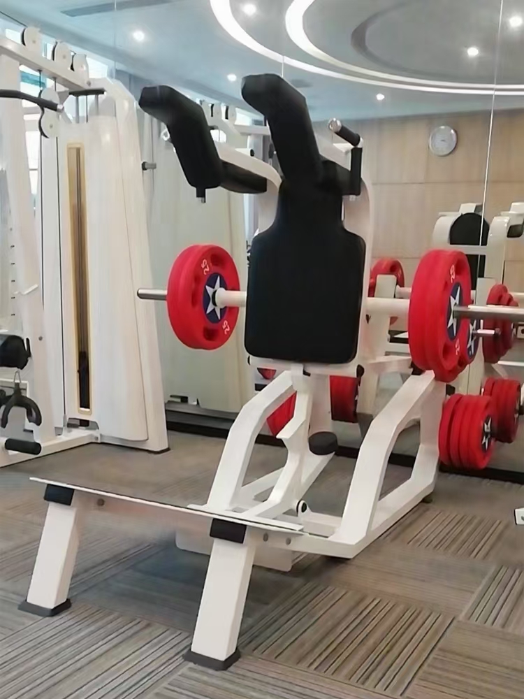 Vertikale Hack-Squat-Maschine  – Home Gym Quad Machine Bewertung und Preis