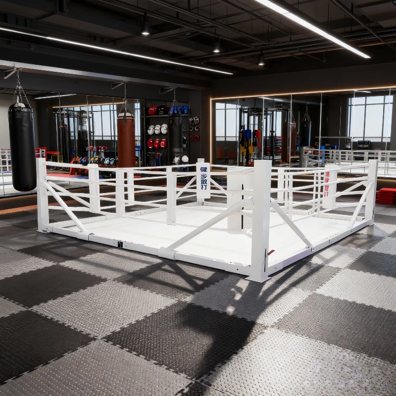 Faltbares Boxring-Set Kleine Z – Home Gym Set Bewertung und Preis