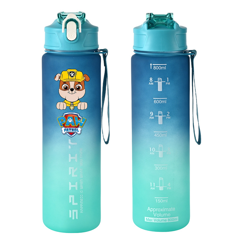 800 ml PAW Patrol Sportwasserf – Home Gym Room Bewertung und Preis