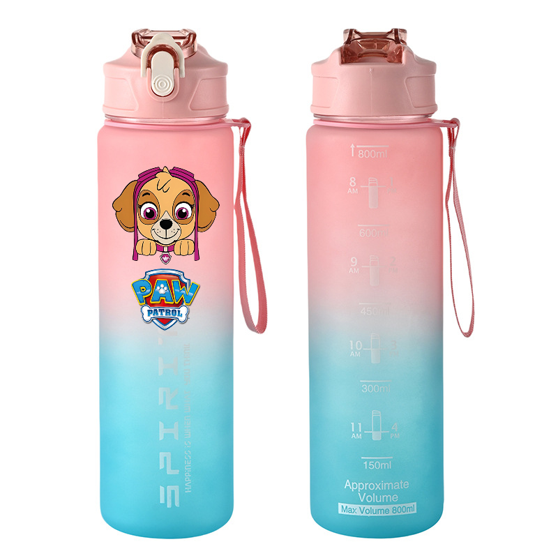 800 ml PAW Patrol Sportwasserf – Home Gym Room Bewertung und Preis