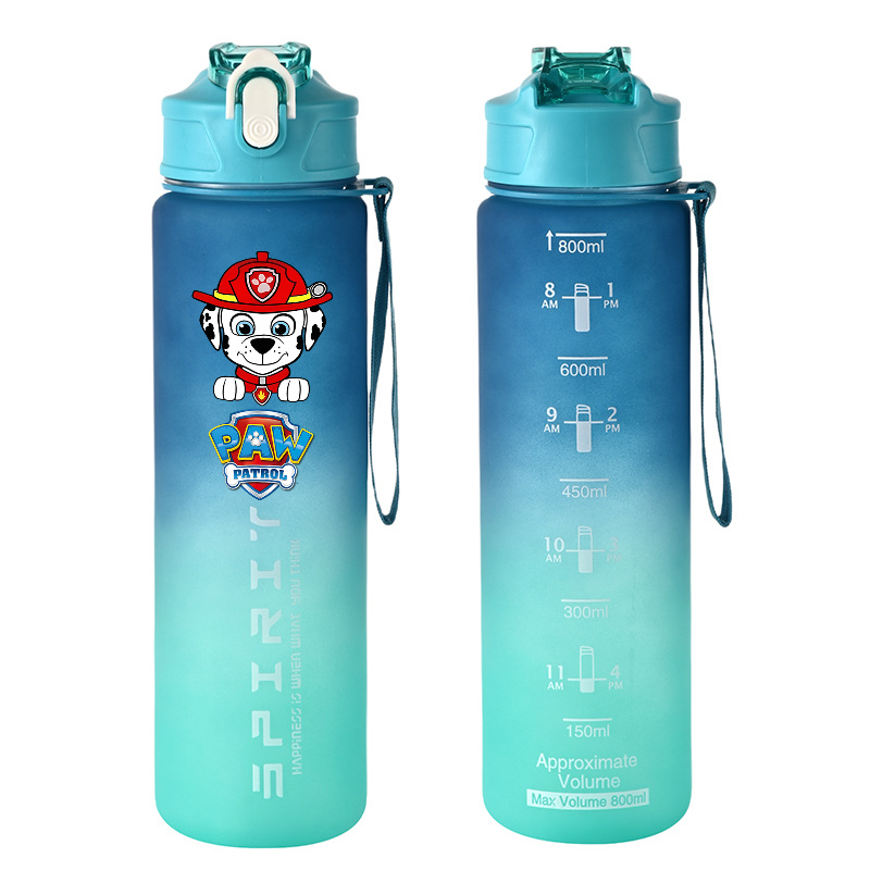 800 ml PAW Patrol Sportwasserf – Home Gym Room Bewertung und Preis